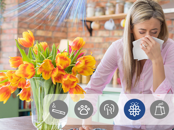 air purifiers for home pets