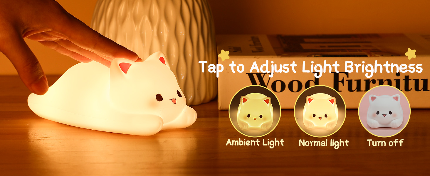 2 Brightness Modes