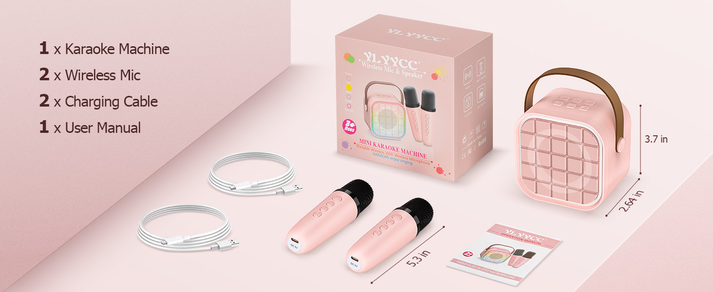 6 year old girl birthday gift