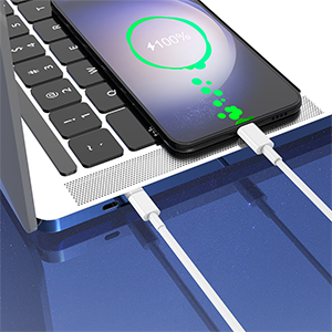 Type C to Type C Cable