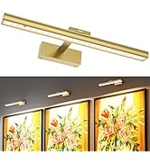 Wireless Picture Lights for Wall, Battery Operated Wall Light for Painting Rechargeable CCT Rotat...