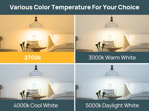 dimmable a19 light bulbs