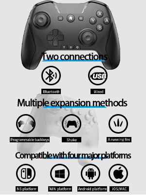 Pro Switch Controller