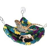 Cdycam Reptile Hammock, Soft Double-Layered Bearded Dragon Hammock Swing Hanging Bed with Strong ...