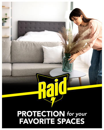 Woman setting decoration on table with text protection for your favorite spaces | Raid