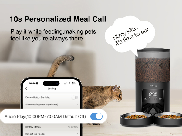 automatic cat feeder