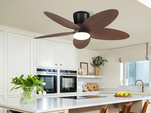 ceiling fan