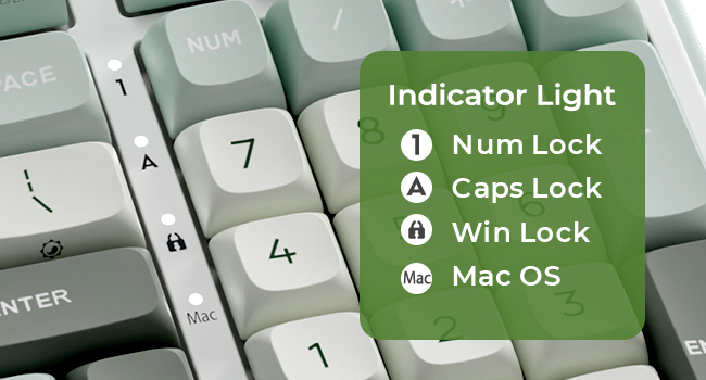 Indicator light