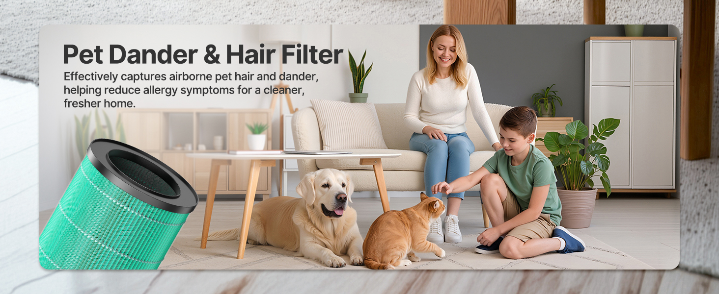 Air Purifiers for Bedroom