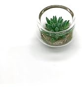 Tiosen Green Miniature Potted Plant, Artificial Plant Decor for Micro Landscape for Micro Landsca...