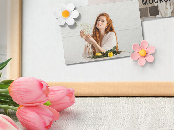 push pins for bulletin board