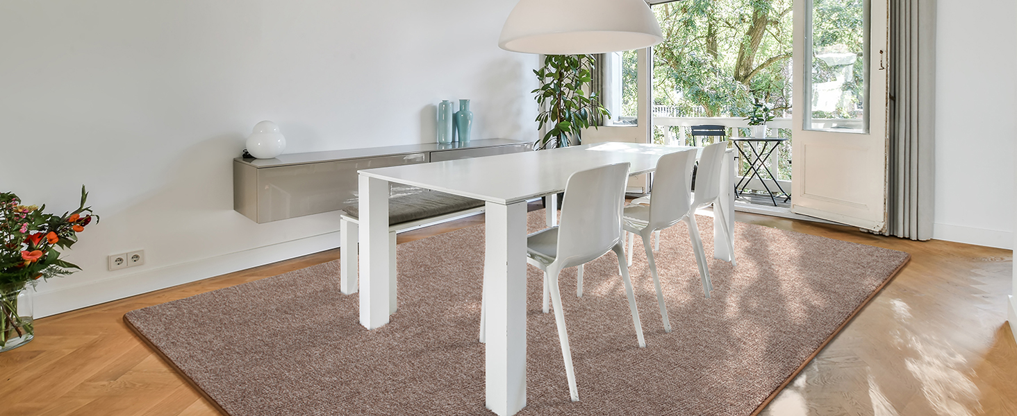 dinning room and kitchen rug