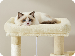Cream-colored cat furniture piece with plush cushioning and sisal-wrapped posts, featuring a cat resting on the elevated platform.