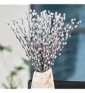 30 Stems Real Dried PussyWillow Preserved Greenery Branches for Vase- Natural PussyWillows with W...