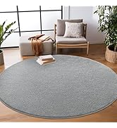 FALARK 5x5 Feet Round Area Rugs for Living Room Bedroom, Ultra Soft Grey Memory Foam Modern Indoo...