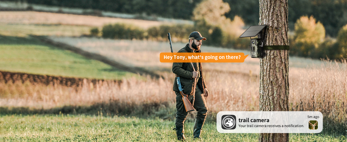 live feed trail camera