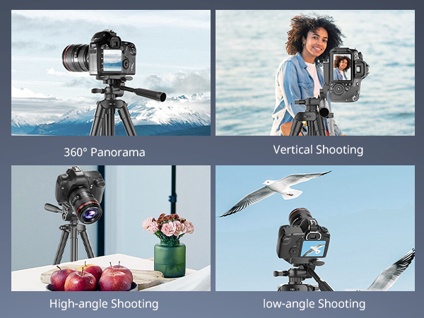 ring light with stand