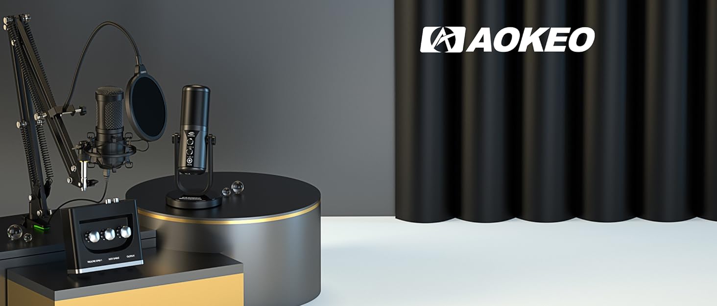 recording microphone