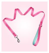 leash