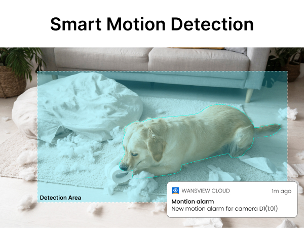 Smart motion detection system highlighting a dog on a couch. Blue overlay indicates detection area with notification popup showing detected movement.