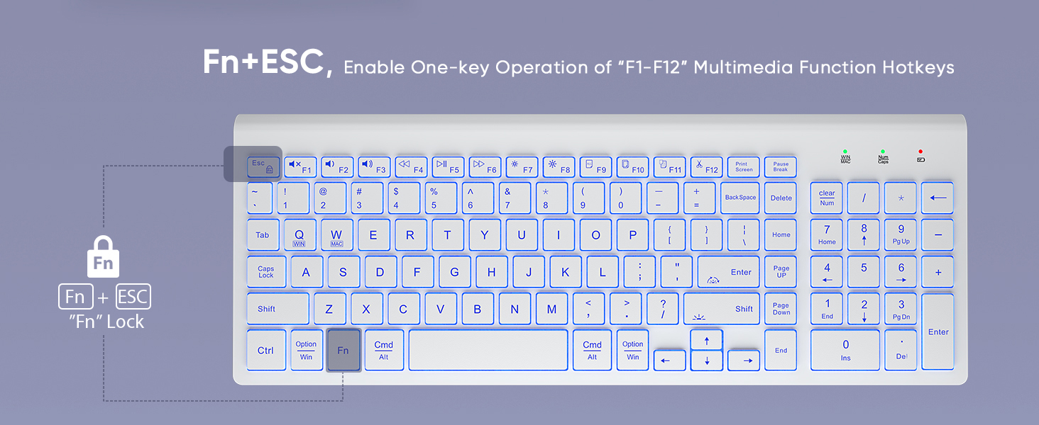12 shortcut fn lock multimedia function