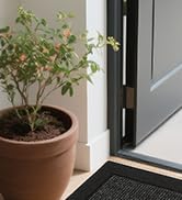 Absorbent Muddy Dirt Welcome Mat