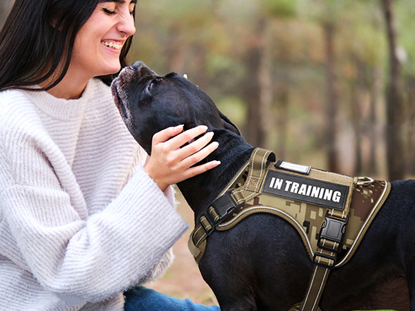 service dog vest camo desert
