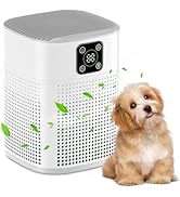 Air Purifiers for Bedroom, Honeyuan H13 HEPA Air Purifier for Home Large Room 600 sqft, Air purif...