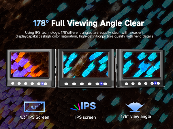 178° full viewing angle clear