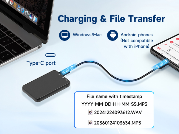 voice recorder digita