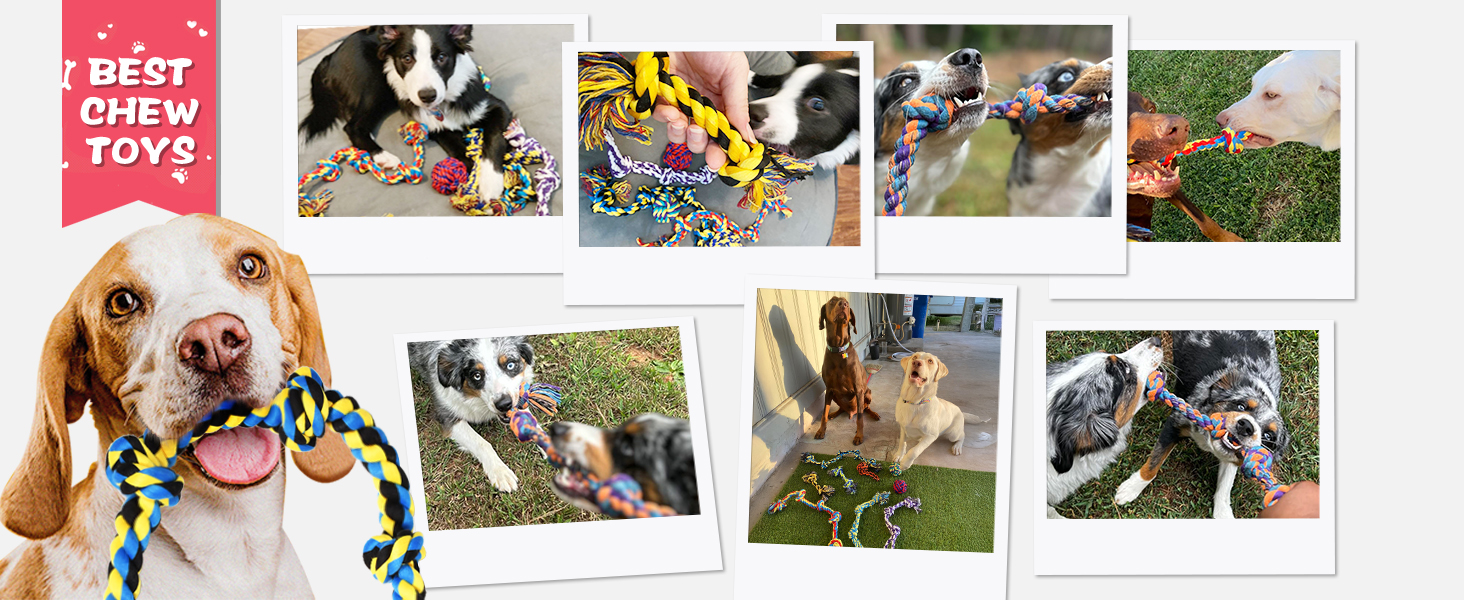 dog ropes 9p