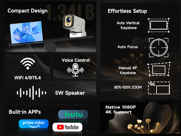 projector