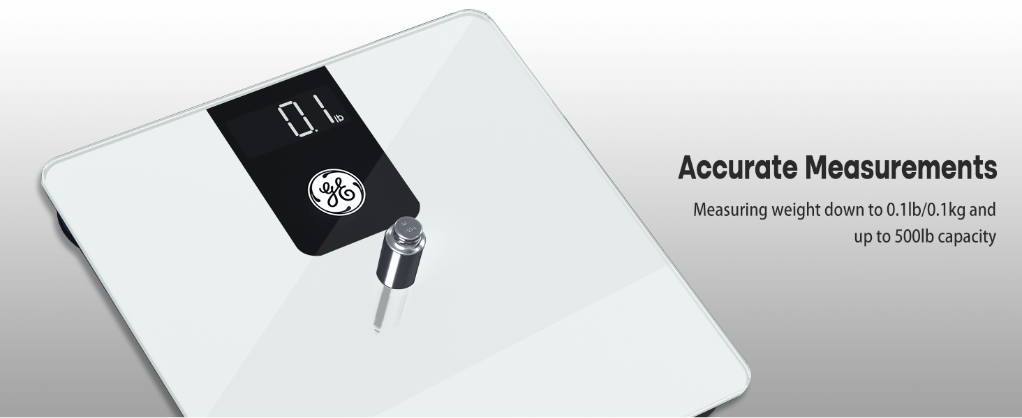 accurate weight scale