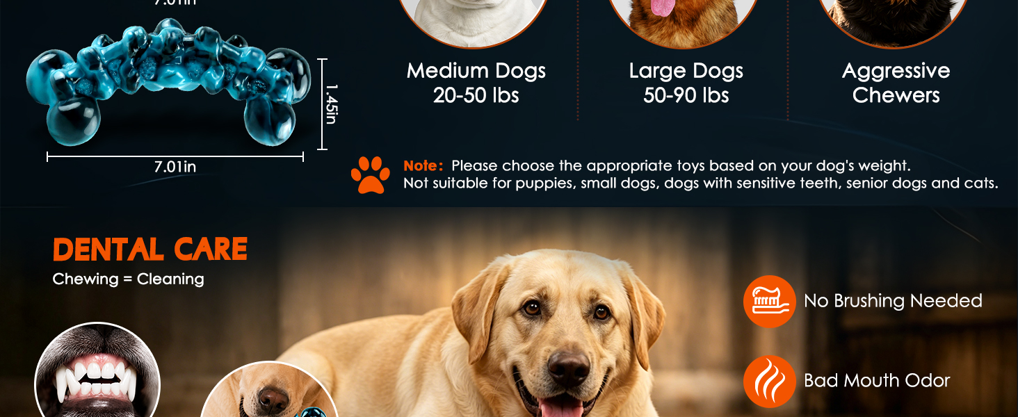 dog chew toys