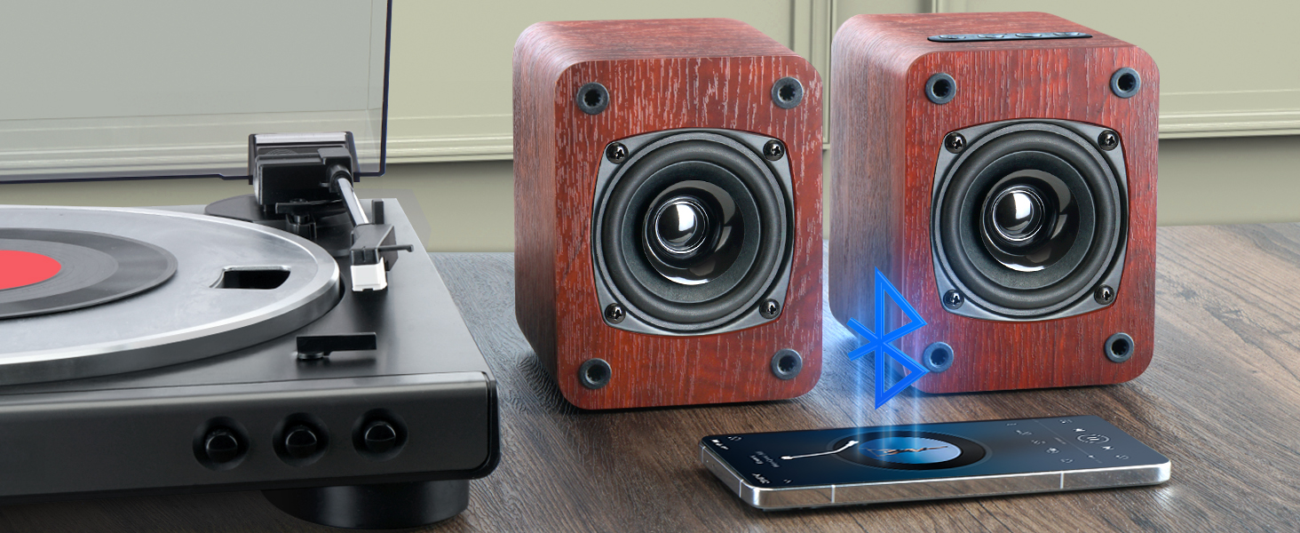 speakers for record player