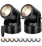 LiangJJ 2 Pack 12W LED Spot Lights Indoor with Timer, Remote, Stepless Adjustable Color Temperatu...
