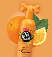 Ditch the Dirt Shampoo