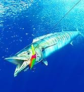 black fishing leaders