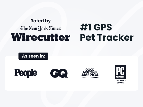 dog gps tracker