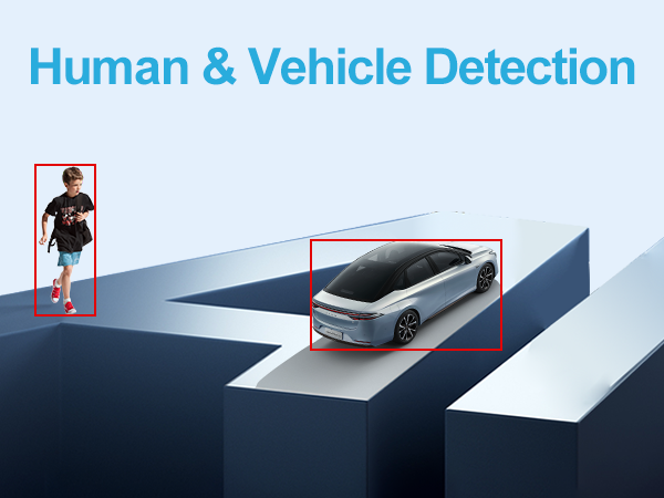 Human &amp;amp; Vehicle Detection