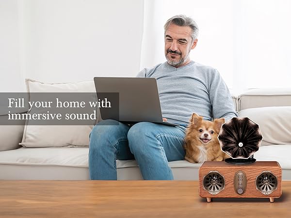 bluetooth speaker radio