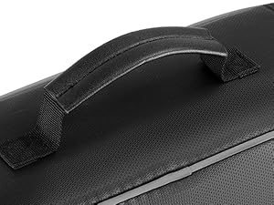 fireproof document bag