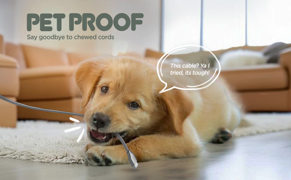 Pet Proof Charger