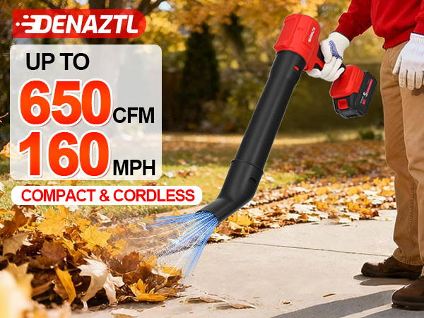 Cordless Blower