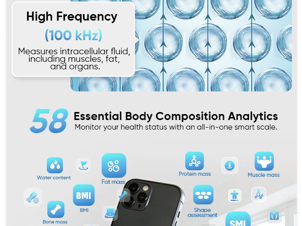 scale for body weight