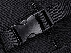 buckle