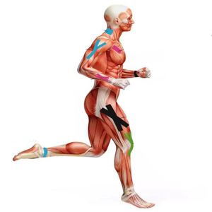 Function of ANAMPION Kinesiology Tape