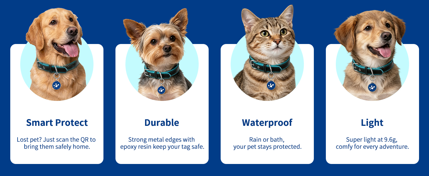 dog id tag 2