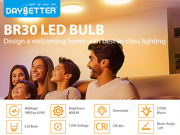 BR30 LED Bulbs 2700K
