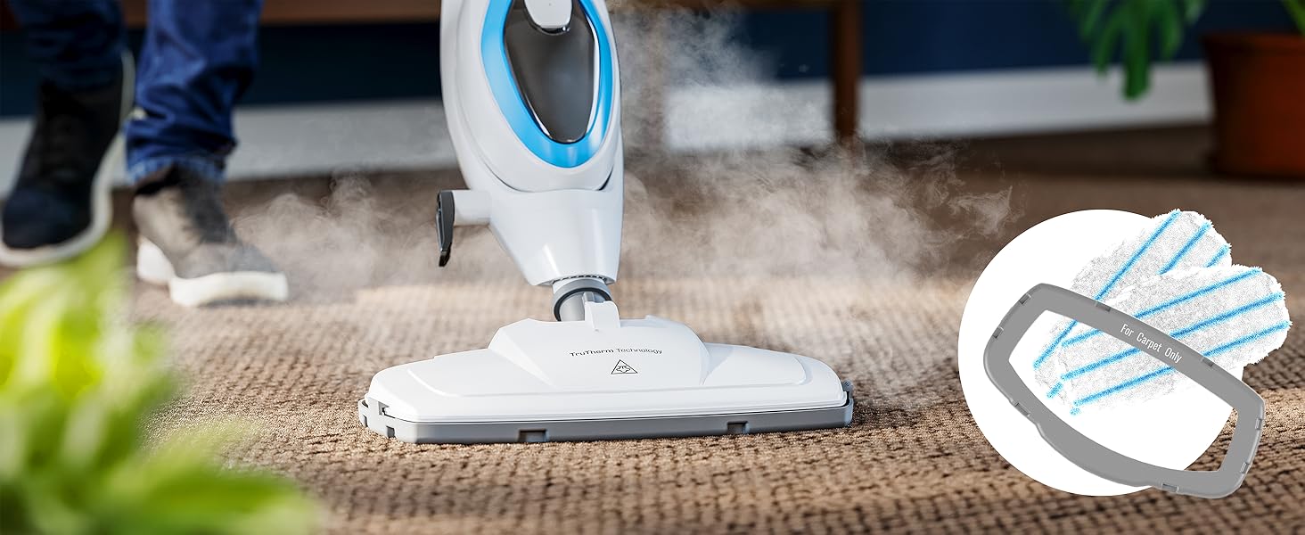Carpet Cleaning Made Easy